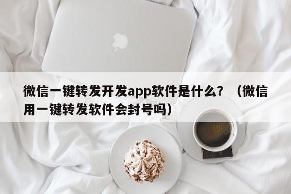微信一键转发开发app软件是什么？（微信用一键转发软件会封号吗）-第1张图片-微多开